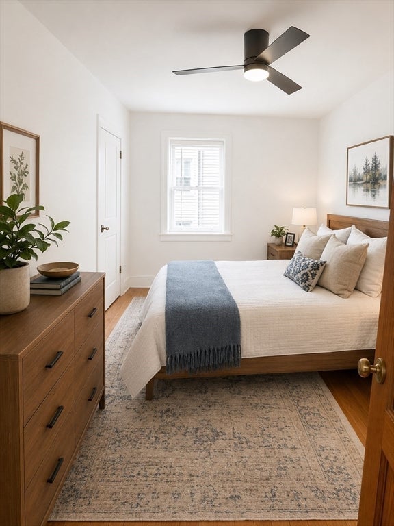 112 Chestnut ST #1, Brookline, MA, 112 Chestnut ST #1, Brookline, MA Photo #7