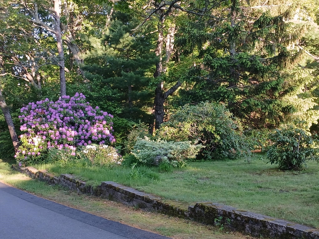 43 Poponessett Rd
