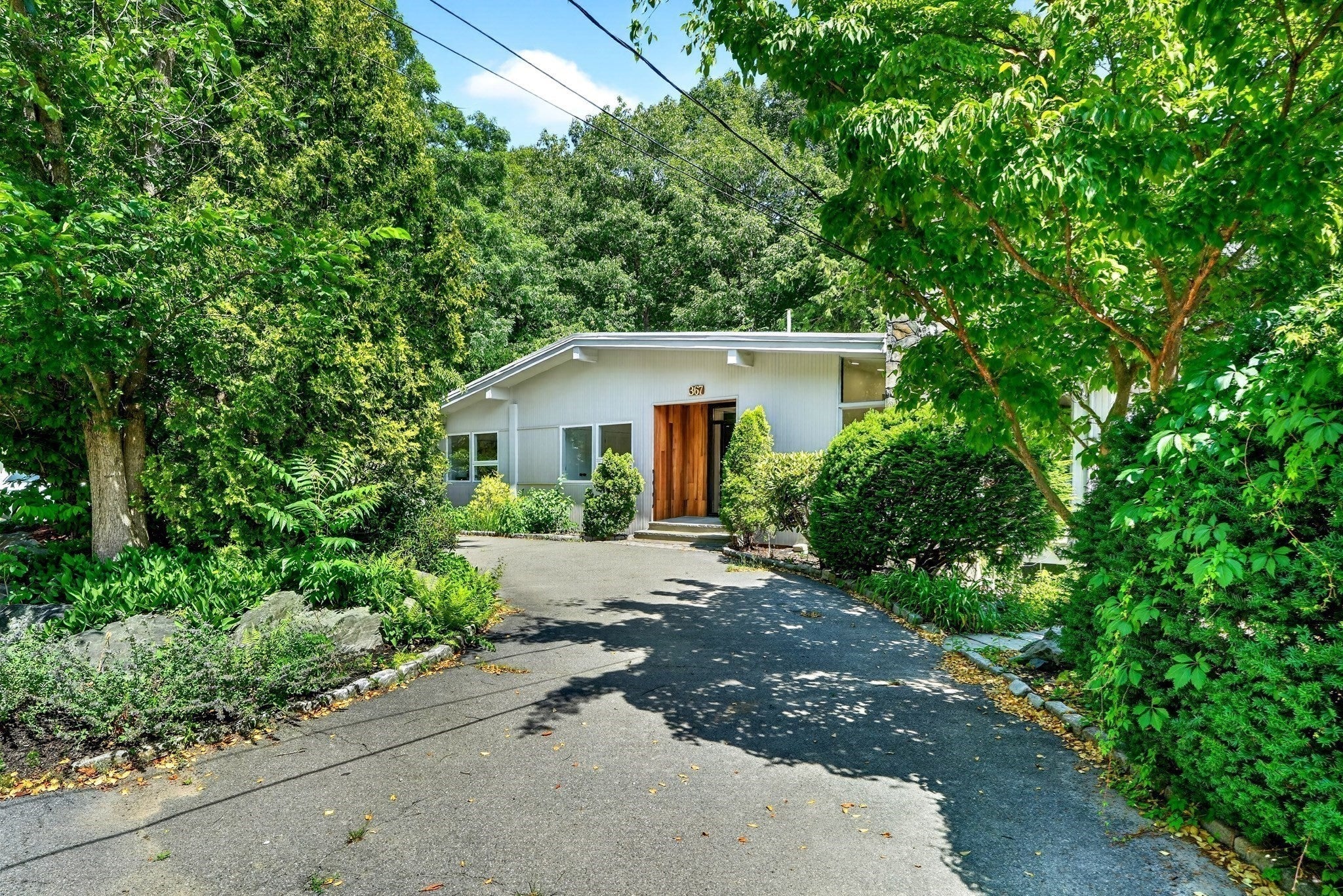 367 Newton St, Brookline, MA, 367 Newton St, Brookline, MA Photo #27