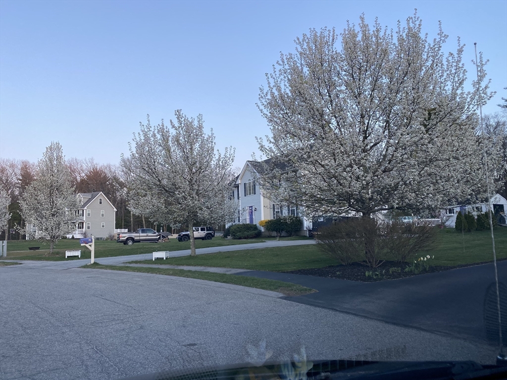 17 Arthur Gordon Dr 17