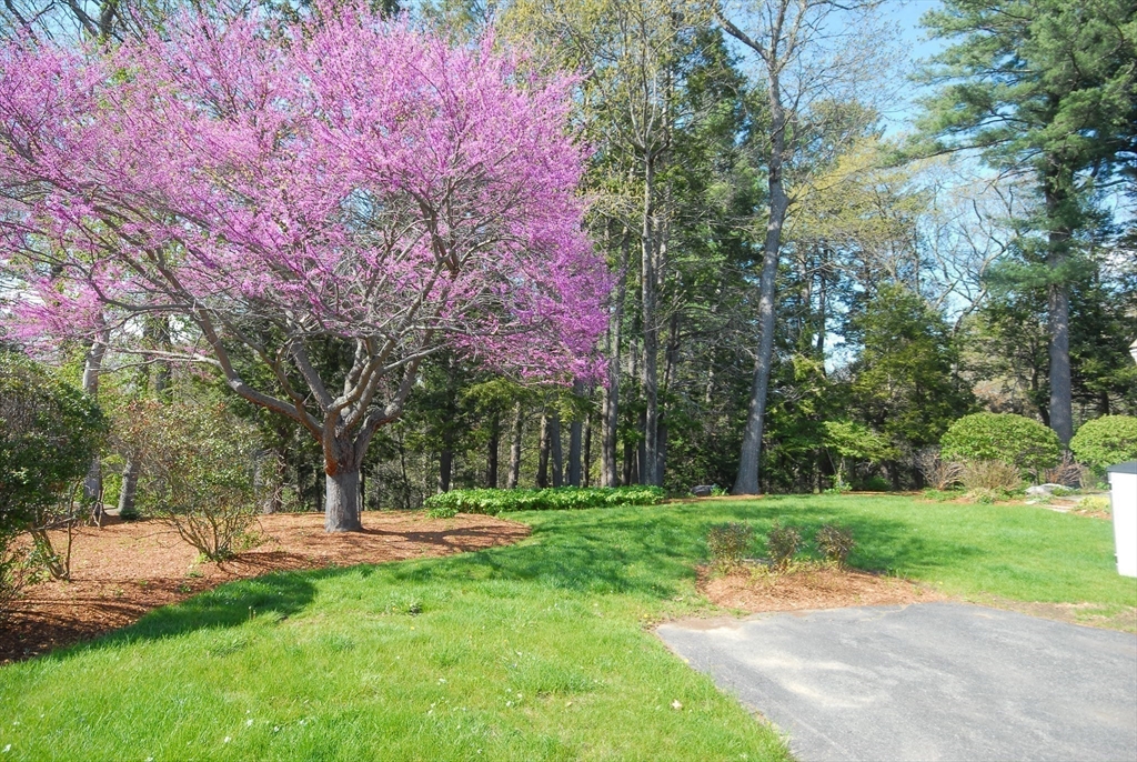 40 Red Barn Rd, Wayland, MA Photo #26