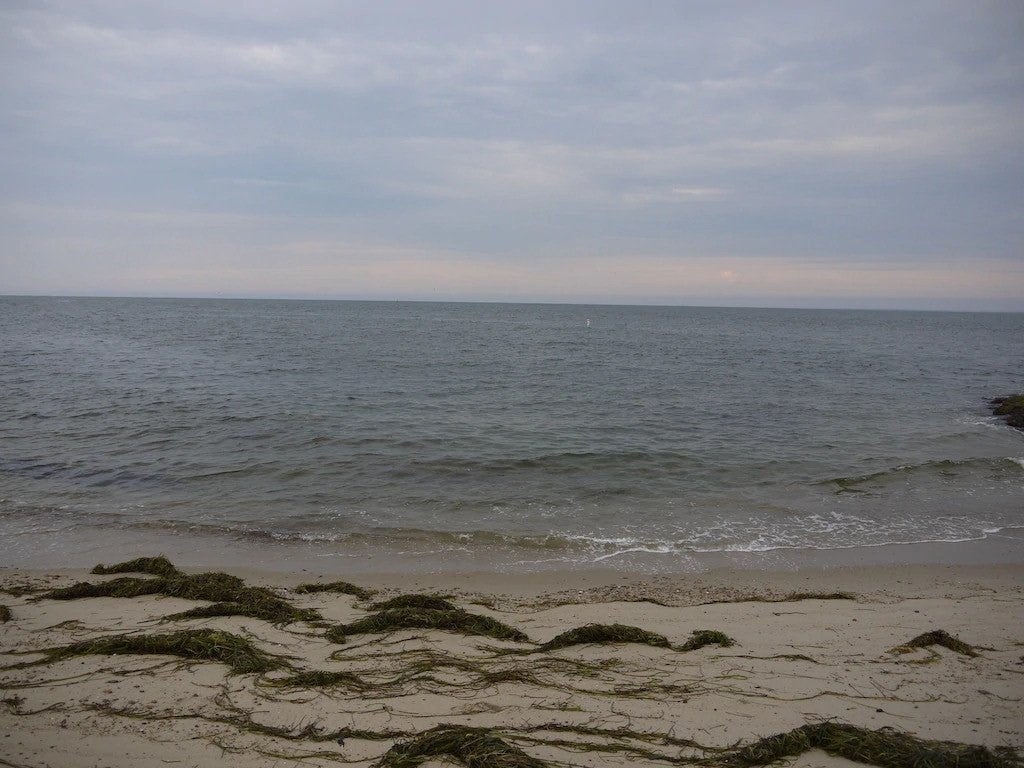 65 Paola Drive, Falmouth, MA Photo #18