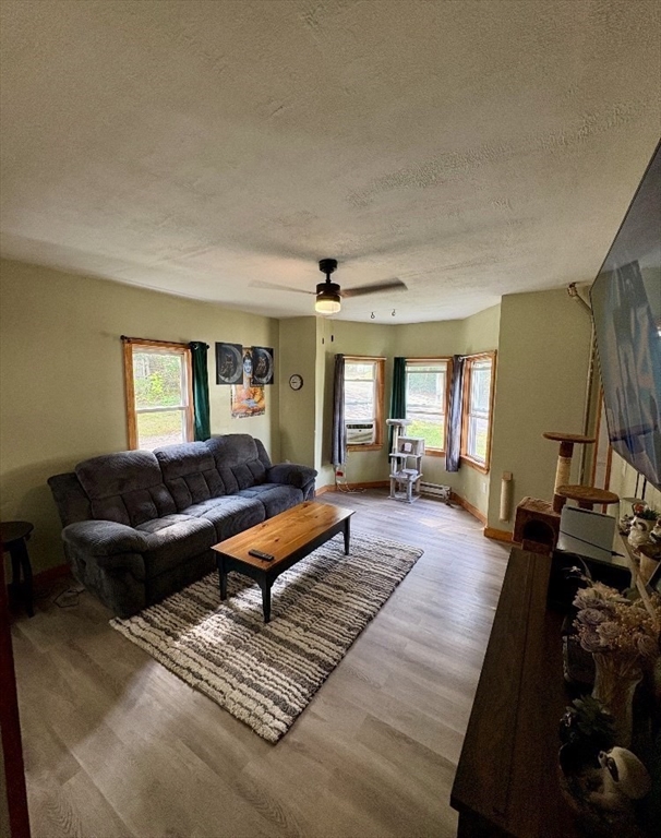 31 Carpenter St