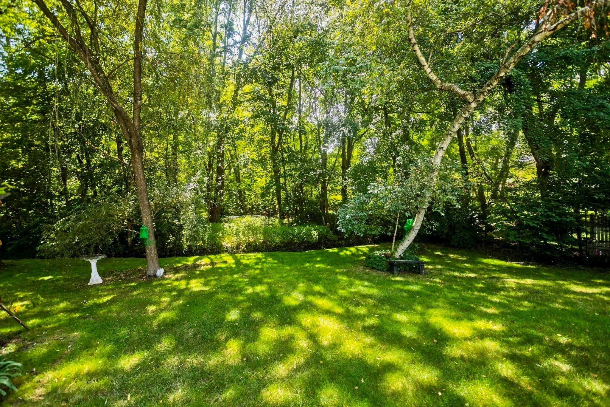 65 Beauchamp Terrace, Chicopee, MA Photo #29