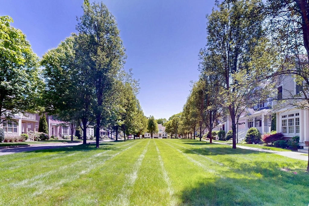 5 Maple St 5