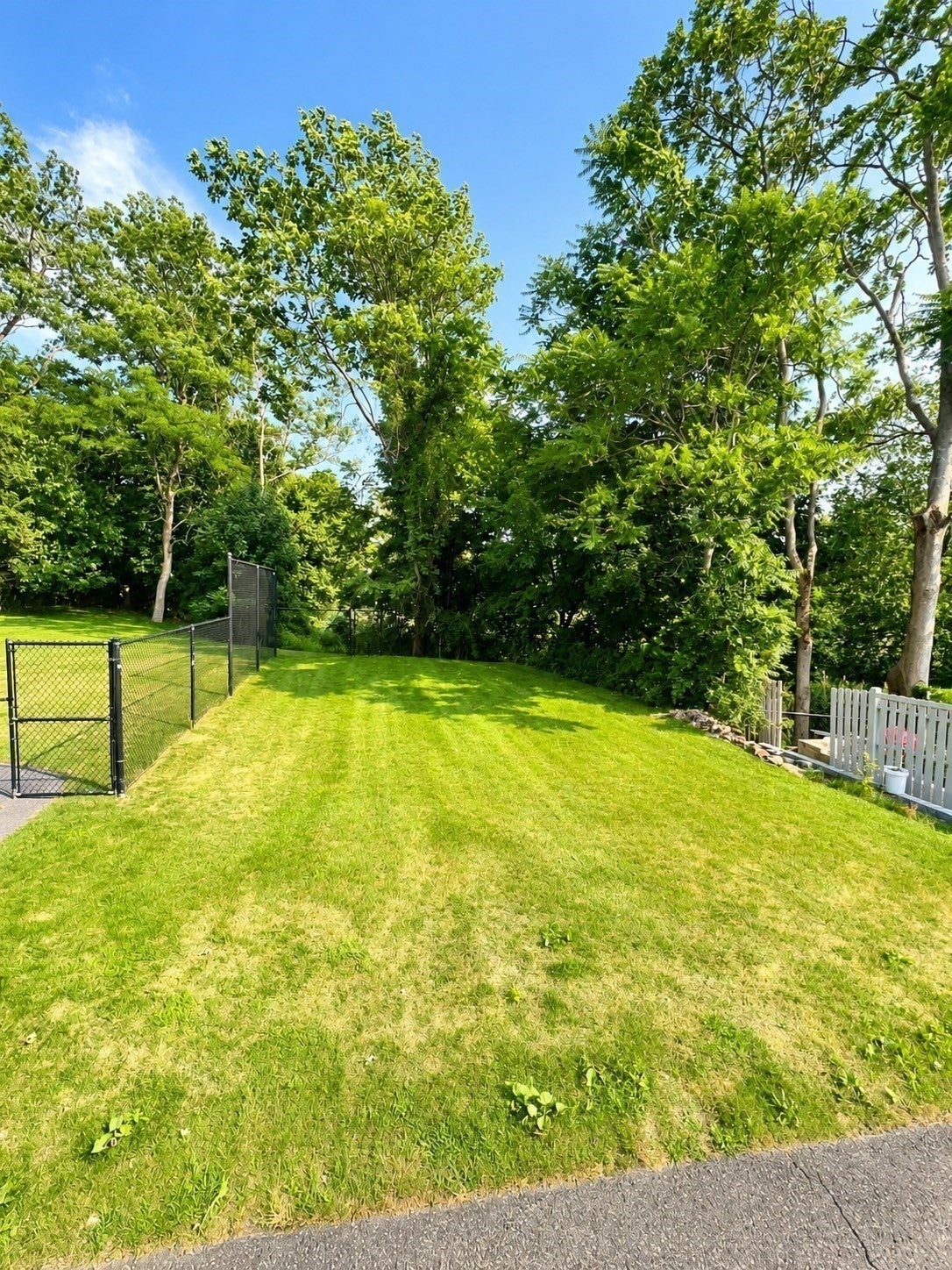 7 Ridge Street, Winchester, MA, 7 Ridge Street, Winchester, MA Photo #27