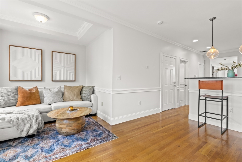 53 Woodward St 2