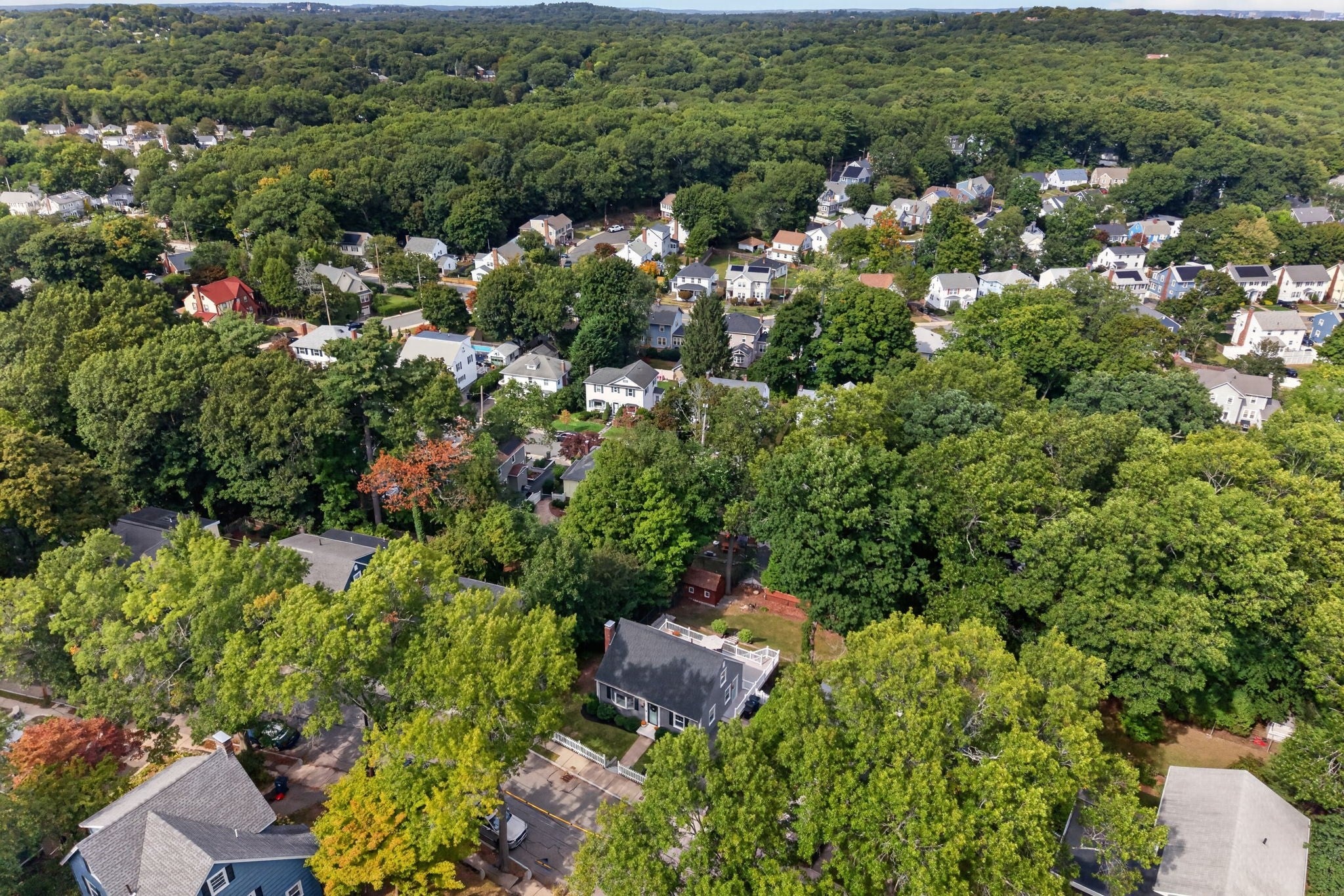 19 Bellaire Rd, Boston, MA, 19 Bellaire Rd, Boston, MA Photo #40