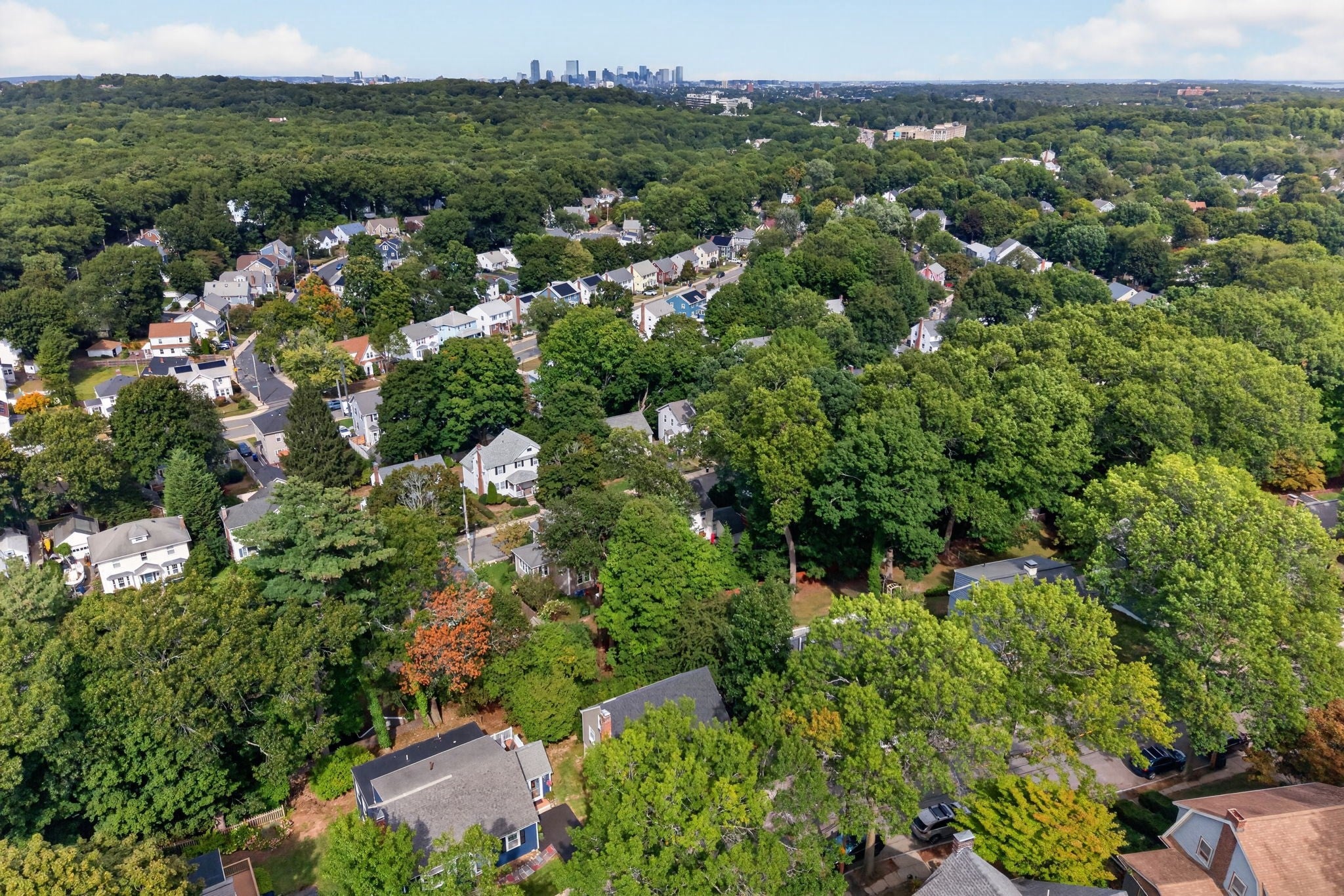 19 Bellaire Rd, Boston, MA, 19 Bellaire Rd, Boston, MA Photo #41