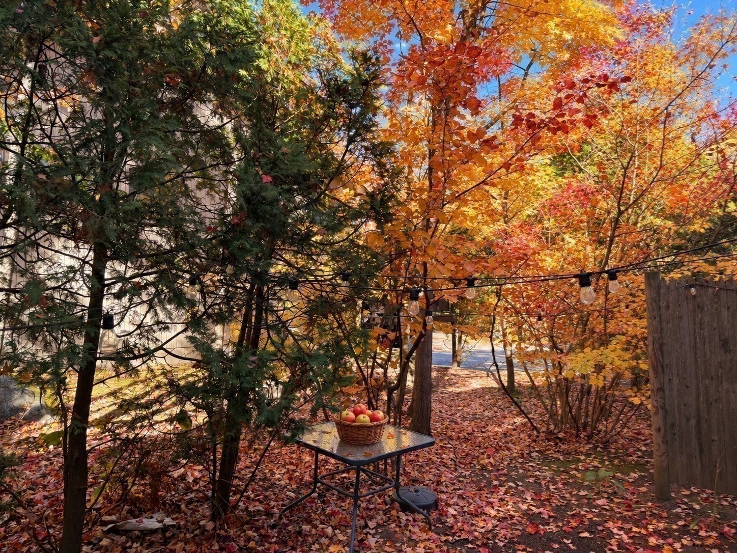 93 Meeting House Path #93, Ashland, MA, 93 Meeting House Path #93, Ashland, MA Photo #25