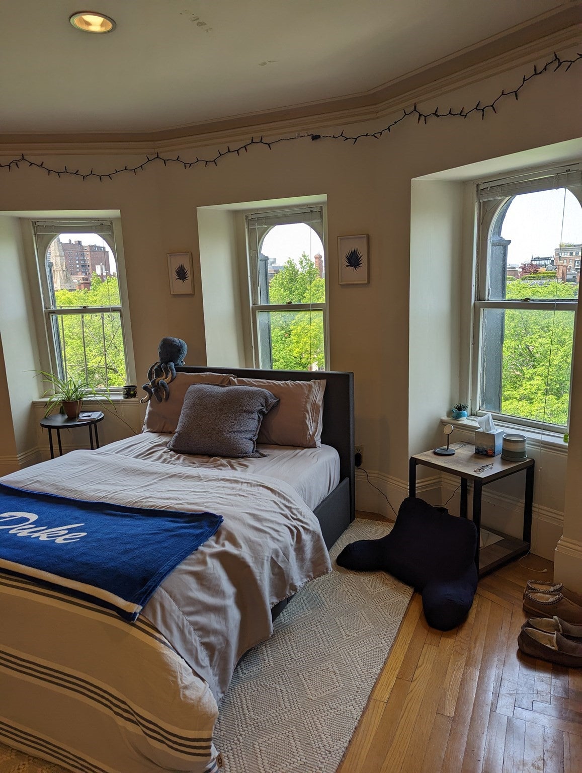 16 Commonwealth Avenue #11, Boston, MA, 16 Commonwealth Avenue #11, Boston, MA Photo #5