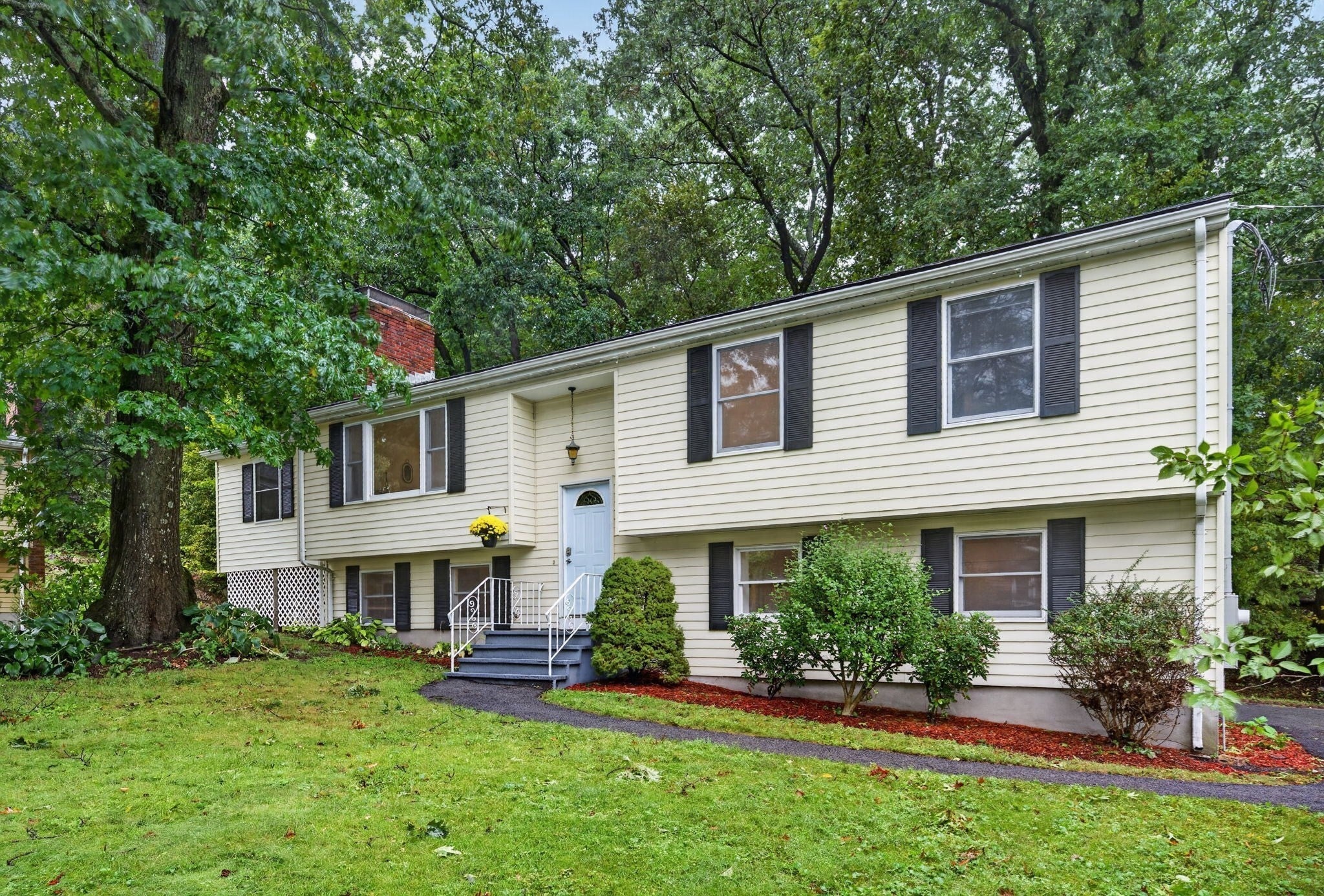 523 Greendale Ave, Needham, MA Photo #1