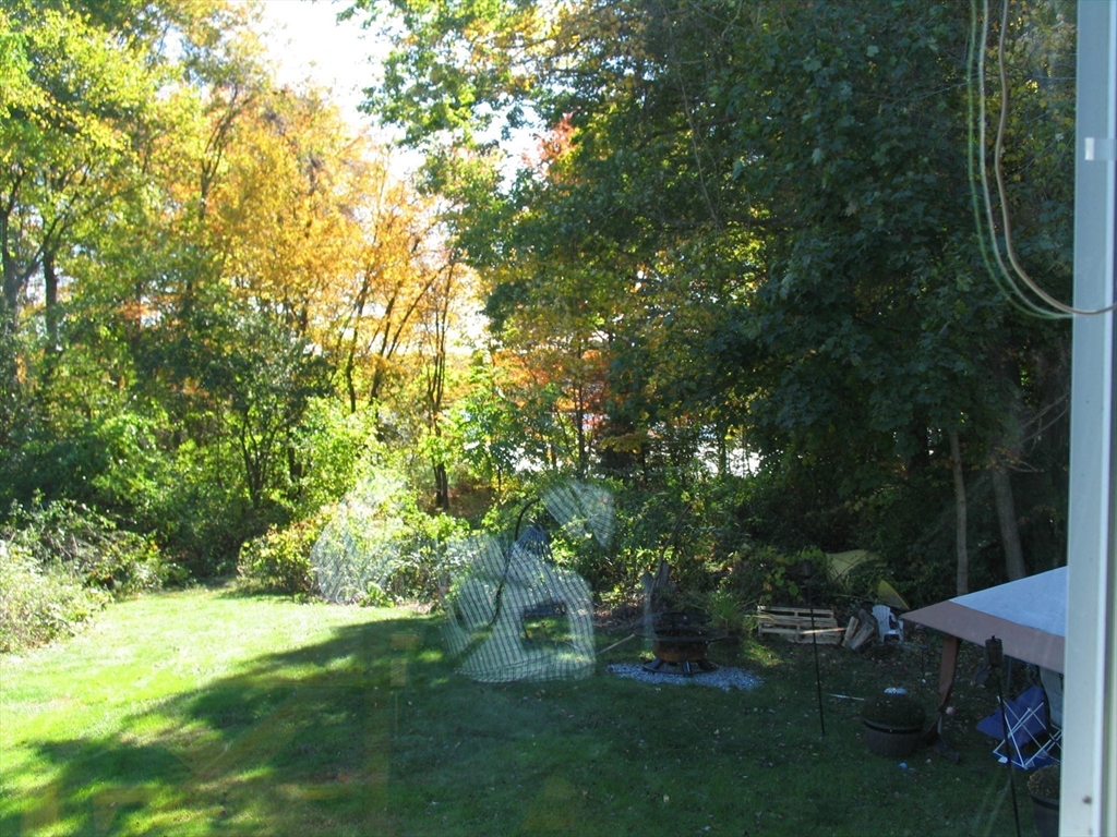 24 Crescent St 6