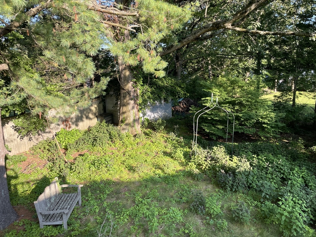 8 Birch Lane