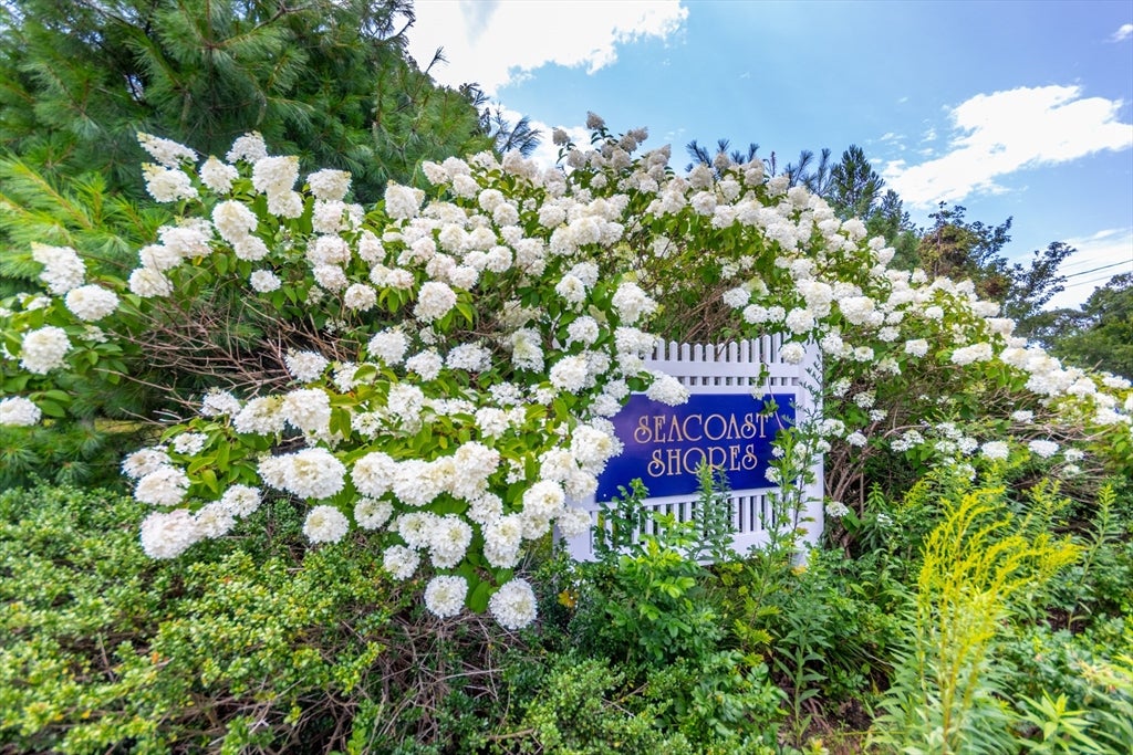 8 Hampden Rd, Falmouth, MA, 8 Hampden Rd, Falmouth, MA Photo #4