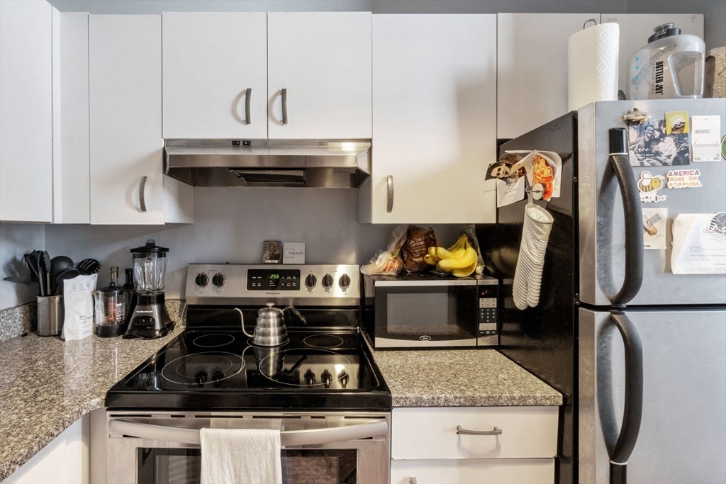 320 W 2nd St #504, Boston, MA, 320 W 2nd St #504, Boston, MA Photo #10