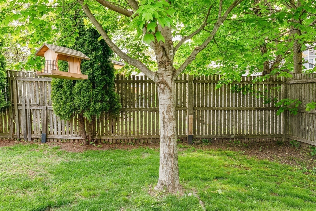 69 Princeton Rd, Arlington, MA Photo #32
