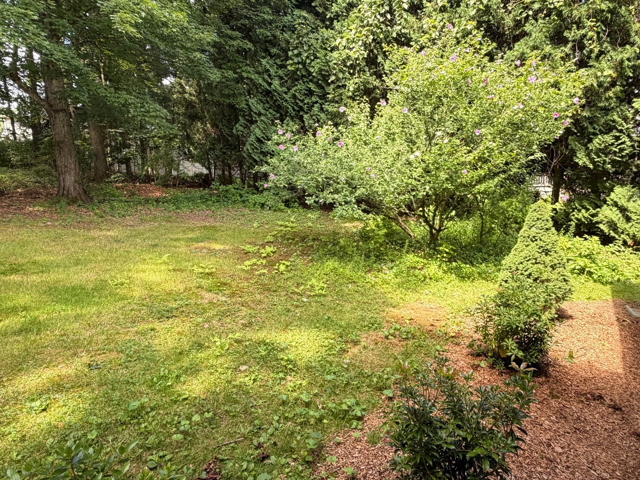 16 Clark St, Belchertown, MA, 16 Clark St, Belchertown, MA Photo #17