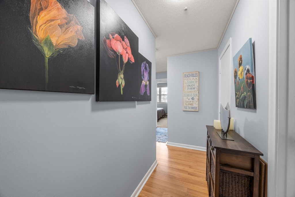 10 Candlewood Ln 2-1