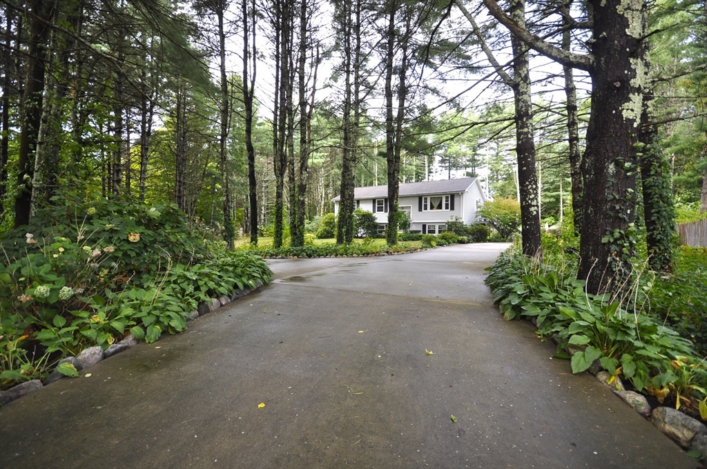 125 Walnut St