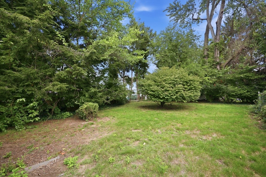 43 Eddywood St, Springfield, MA Photo #25