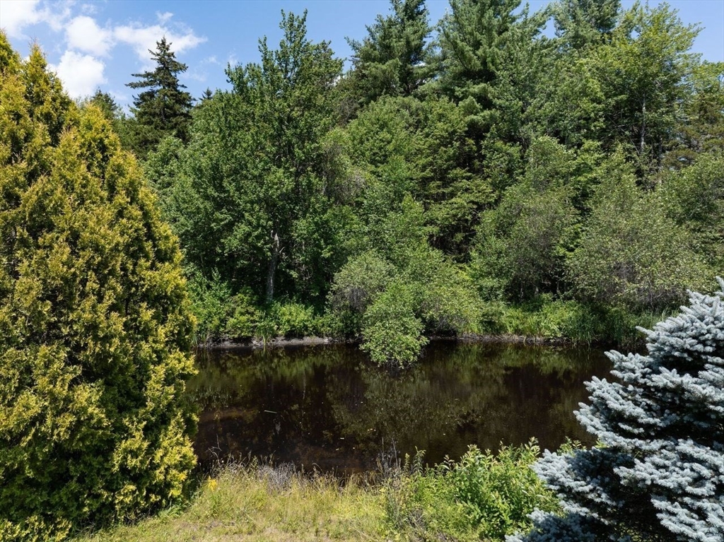 688 Bear Swamp Rd.