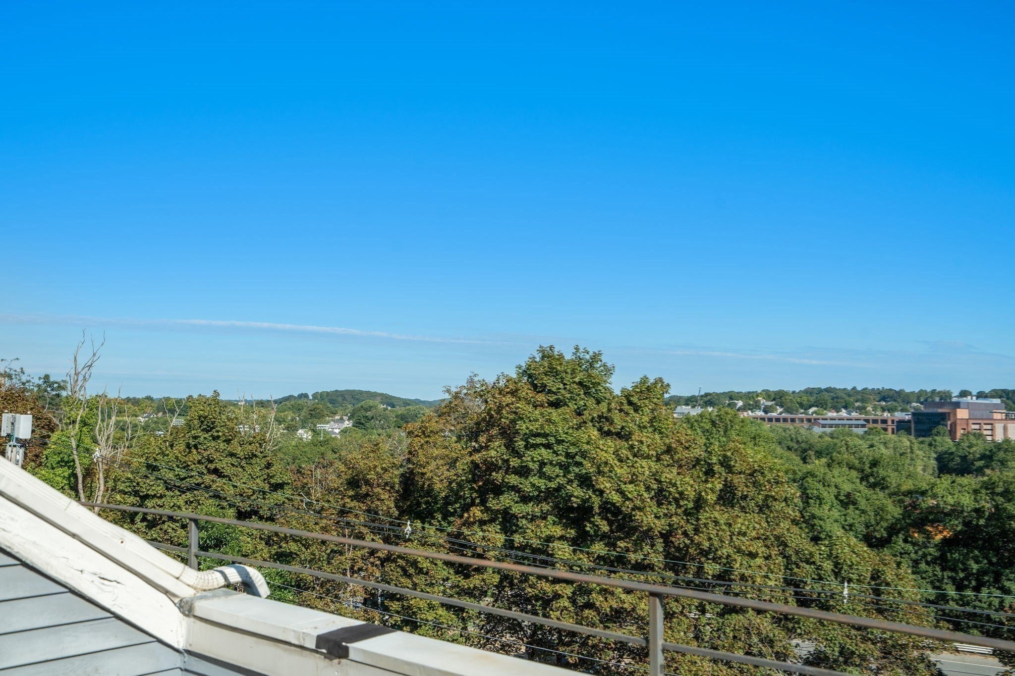 48 Newton St #48, Boston, MA, 48 Newton St #48, Boston, MA Photo #19