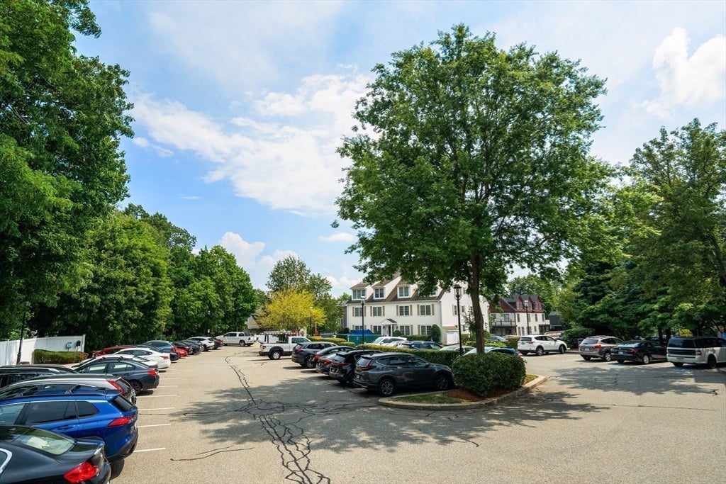 717 Washington St #F, Canton, MA, 717 Washington St #F, Canton, MA Photo #21
