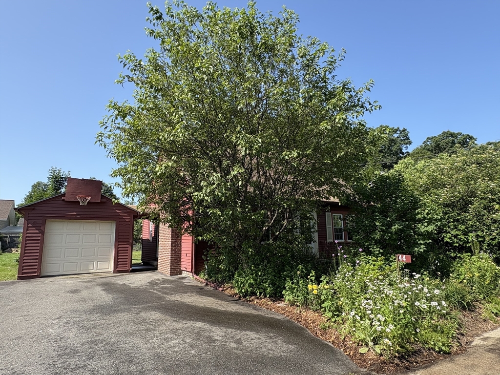 44 Ferrante Avenue