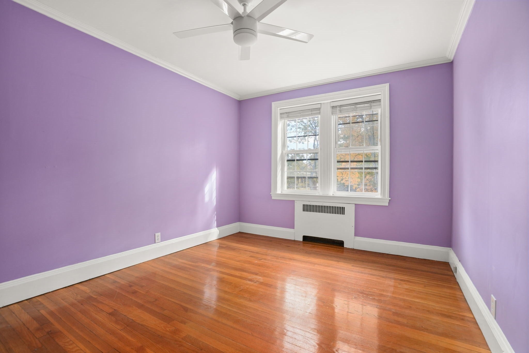 289 Corey Rd #5, Boston, MA, 289 Corey Rd #5, Boston, MA Photo #9