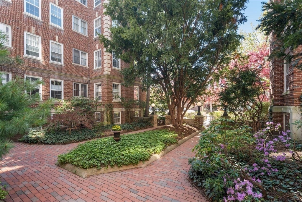 41 Linnaean St #43, Cambridge, MA Photo #23