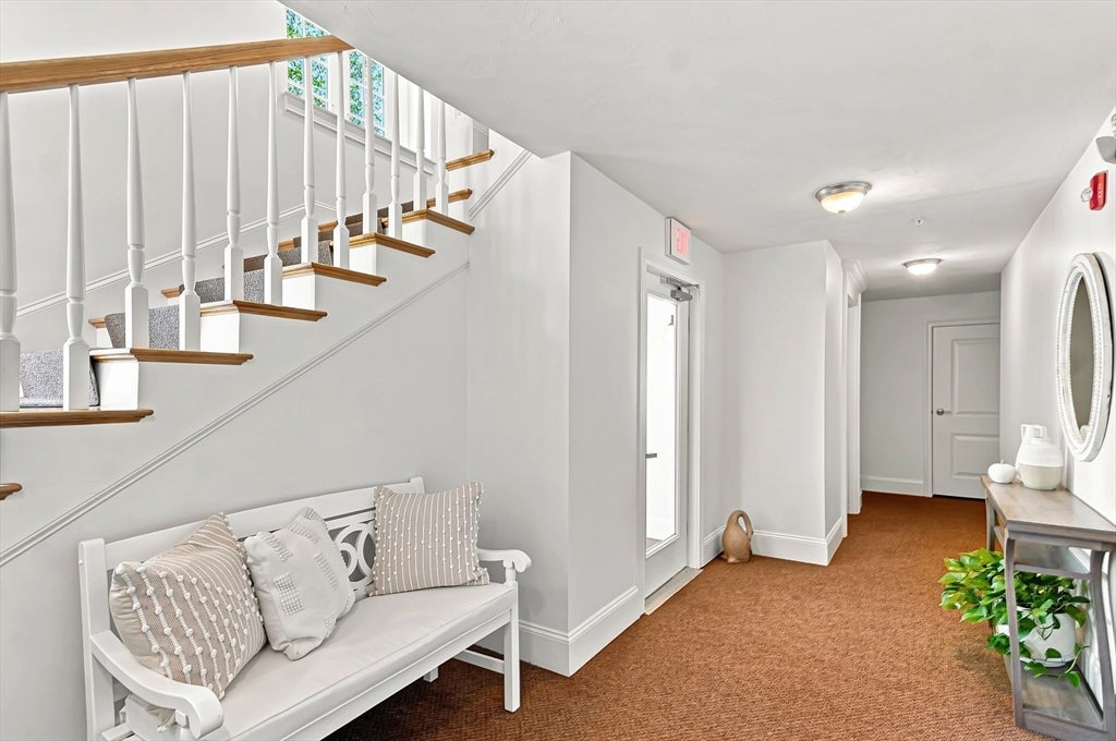 221 Worcester Lane #6, Waltham, MA, 221 Worcester Lane #6, Waltham, MA Photo #28