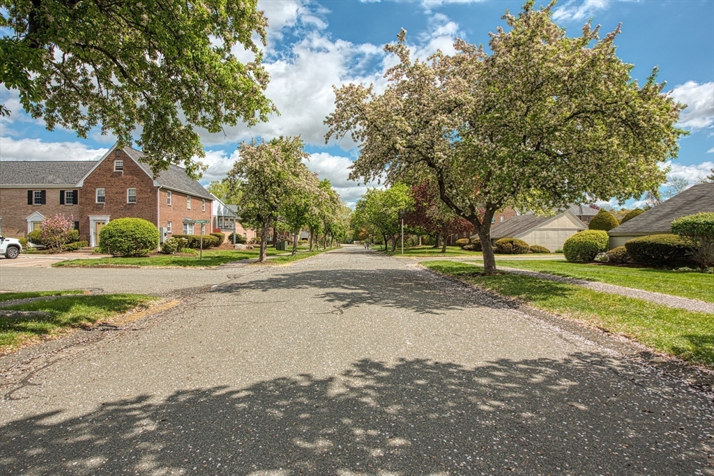 7 Patricia Drive #7, Stoughton, MA Photo #19