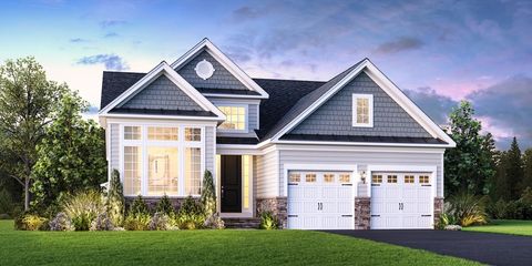 10 Chimney Swift 62 Plymouth MA 02360