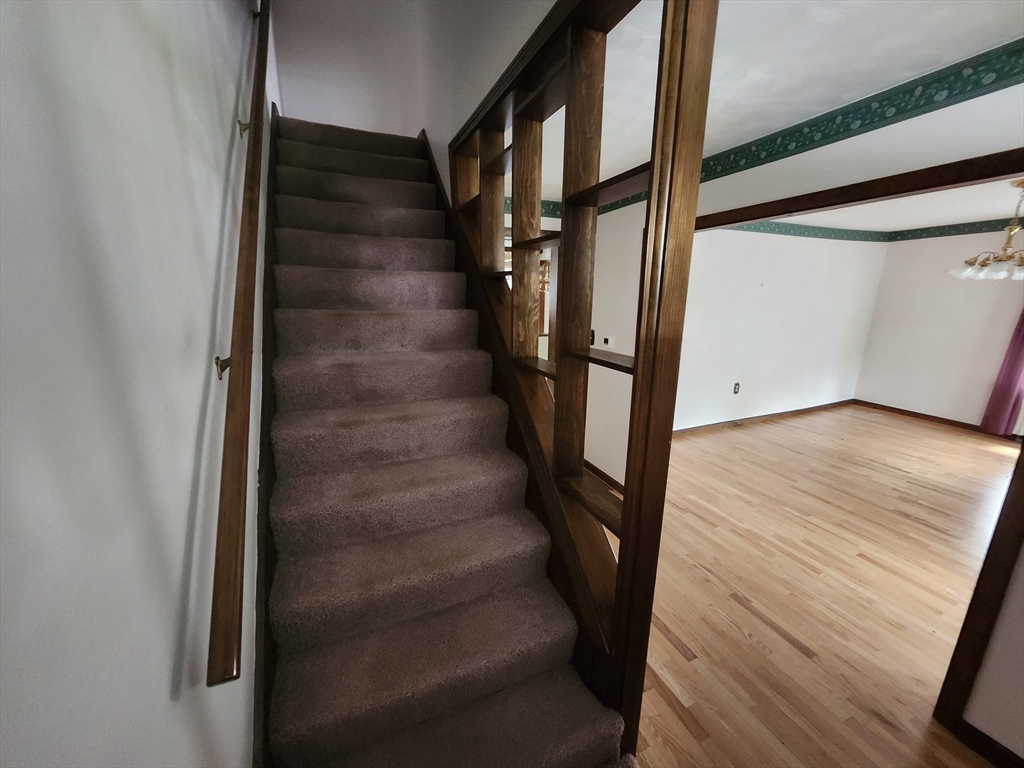 25-27 Elm Ln