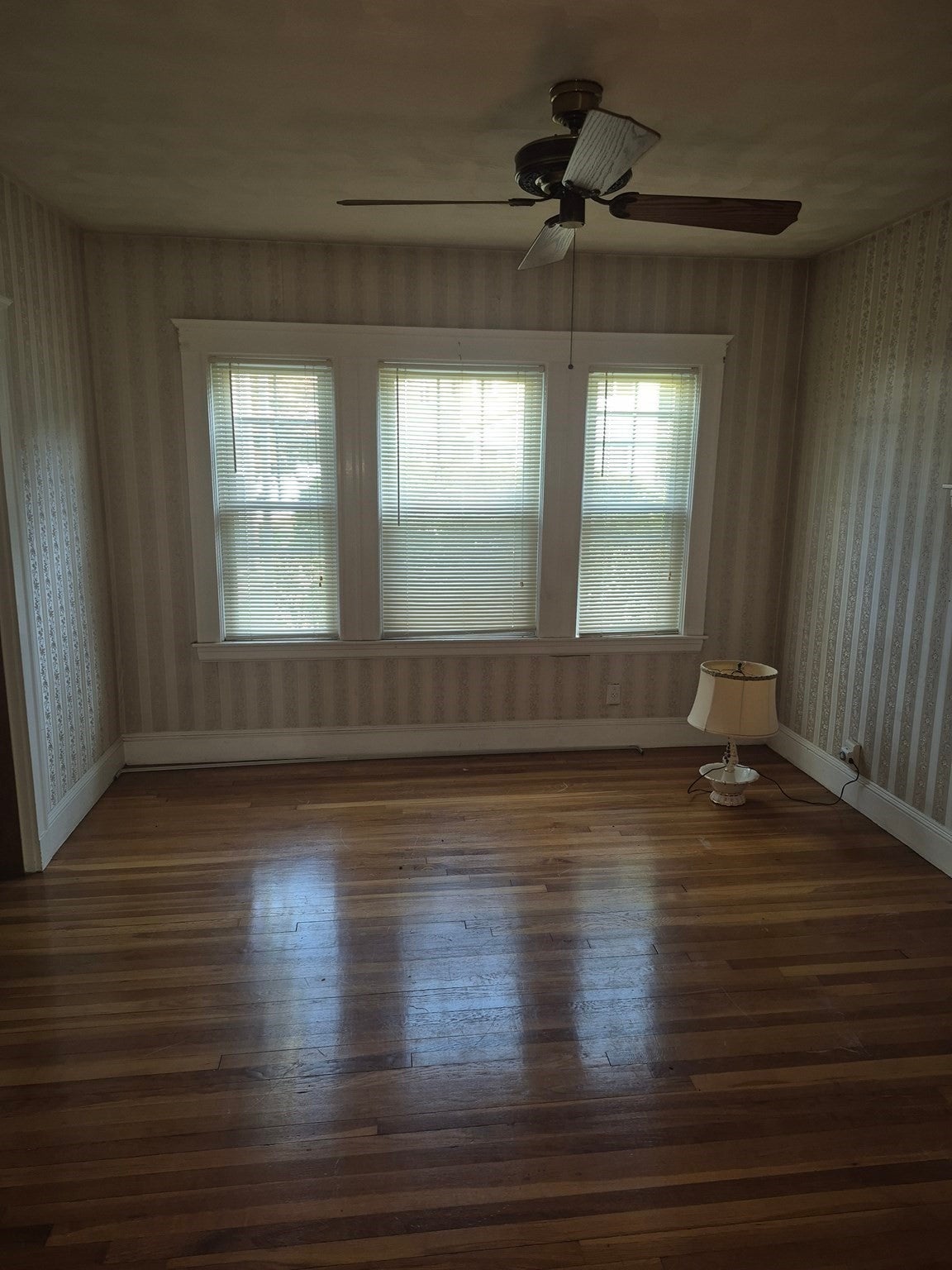 49 Webster Street, Medford, MA Photo #18