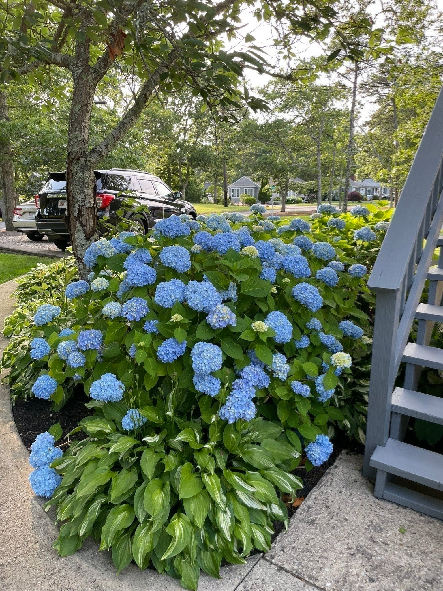 63 Evergreen ST, Yarmouth, MA, 63 Evergreen ST, Yarmouth, MA Photo #23