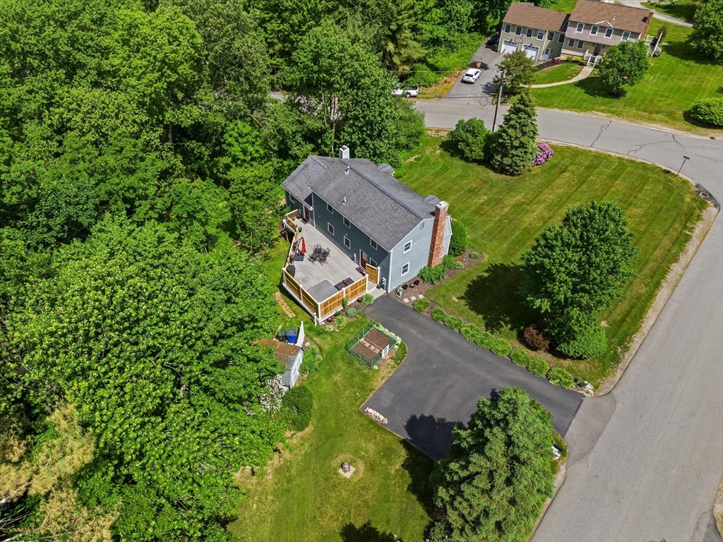37 Forest St