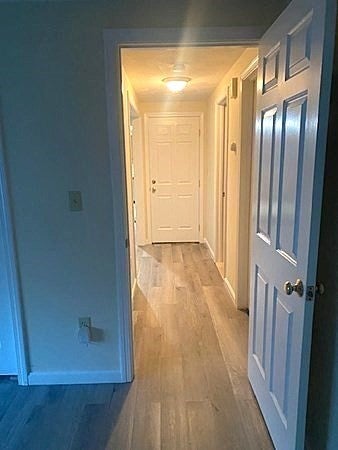 59 Walnut Street, Revere, MA, 59 Walnut Street, Revere, MA Photo #36