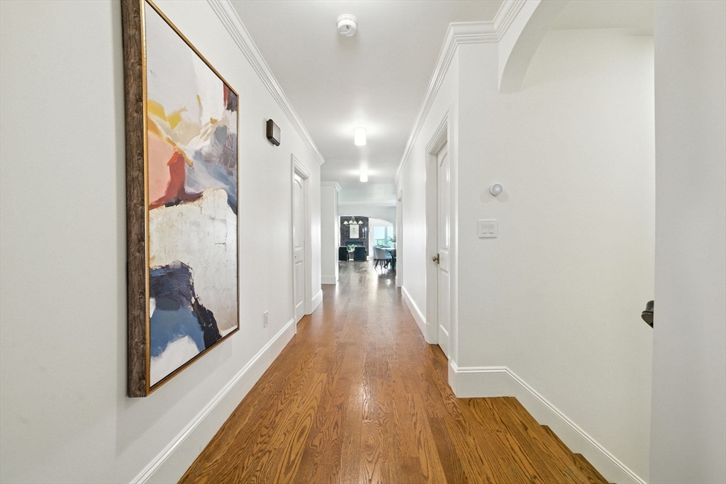 197 Winchester Street 1