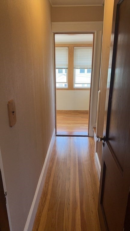 48 Trapelo St #2, Boston, MA, 48 Trapelo St #2, Boston, MA Photo #21