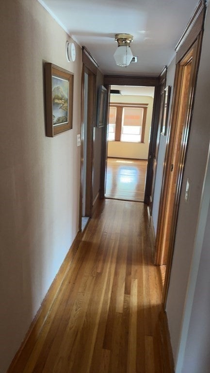 48 Trapelo St #2, Boston, MA, 48 Trapelo St #2, Boston, MA Photo #11