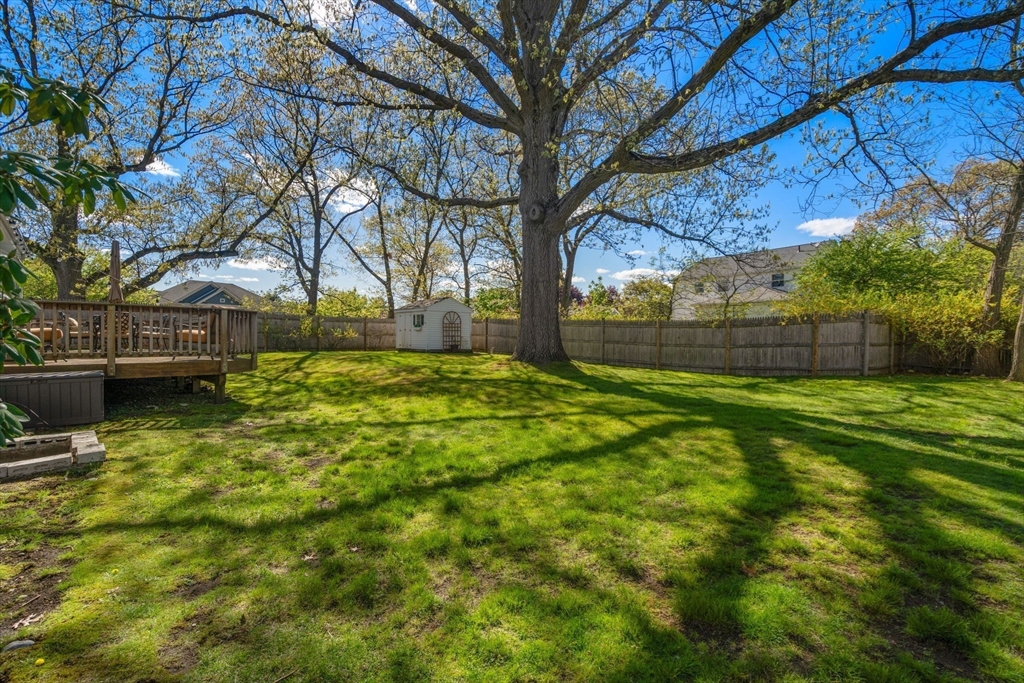 115 Albert Road, Newton, MA Photo #22