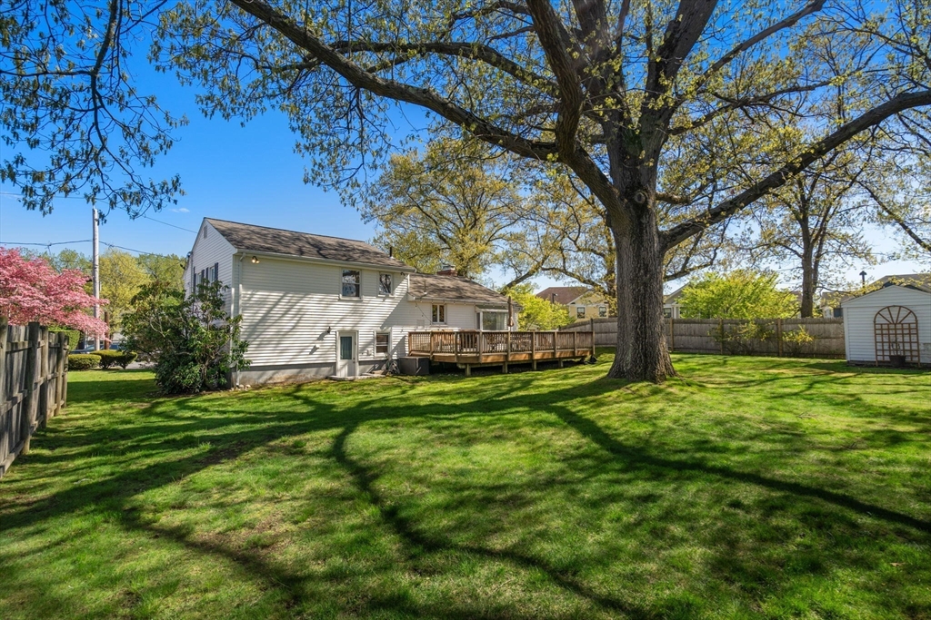 115 Albert Road, Newton, MA Photo #21