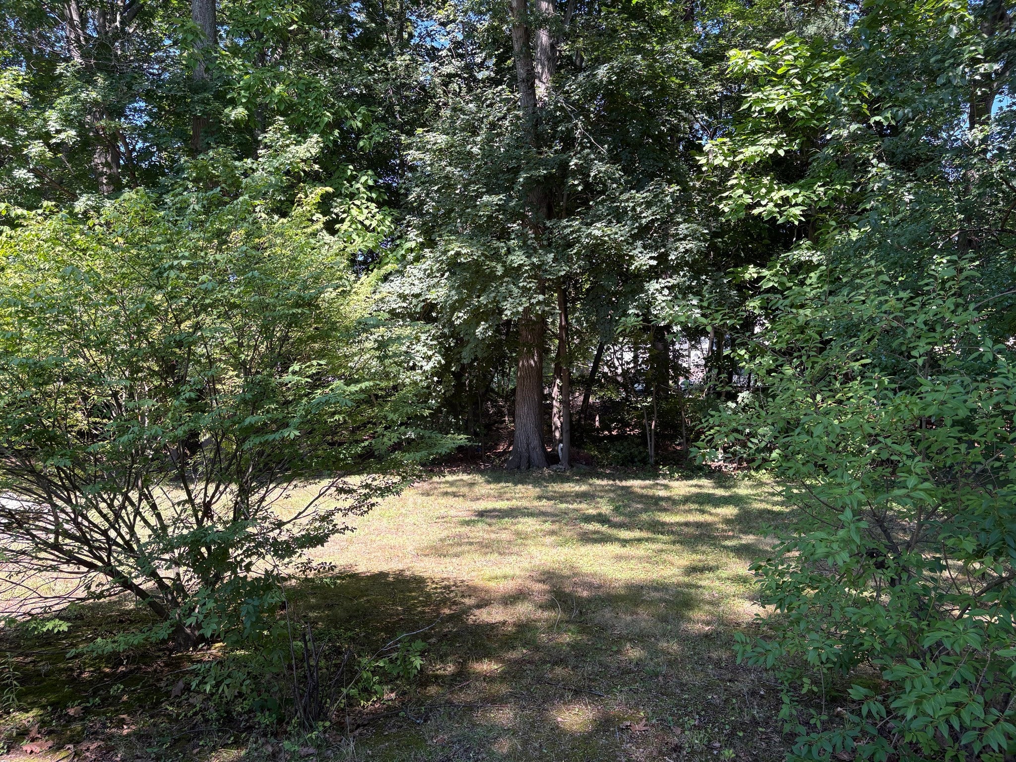 25 Arkansas Drive