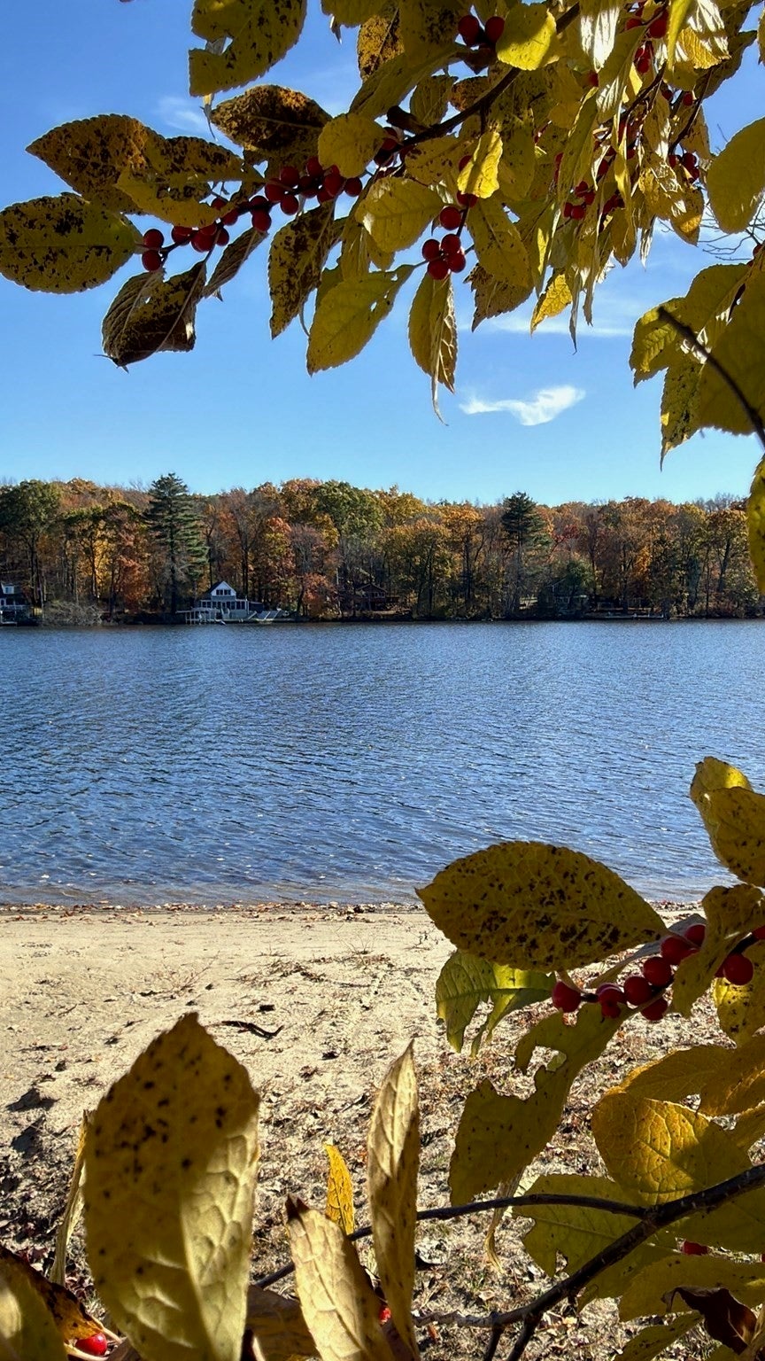 262 Lakeshore Drive, Marlborough, MA Photo #32