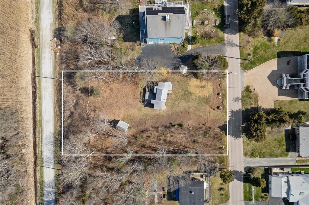 11 Balsam St