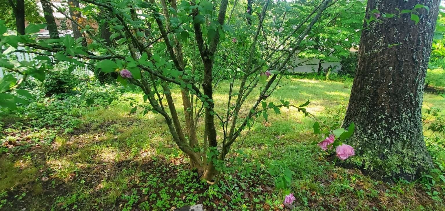 75 Woodruff Rd, Clinton, MA, 75 Woodruff Rd, Clinton, MA Photo #7