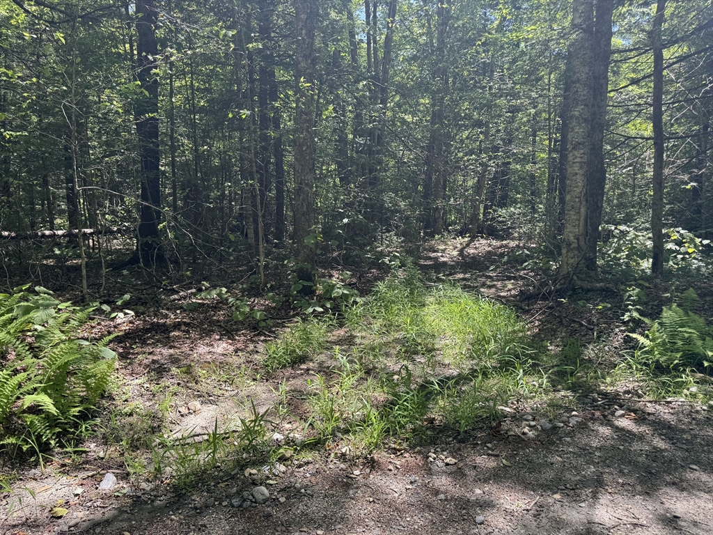0 Old Stage Rd