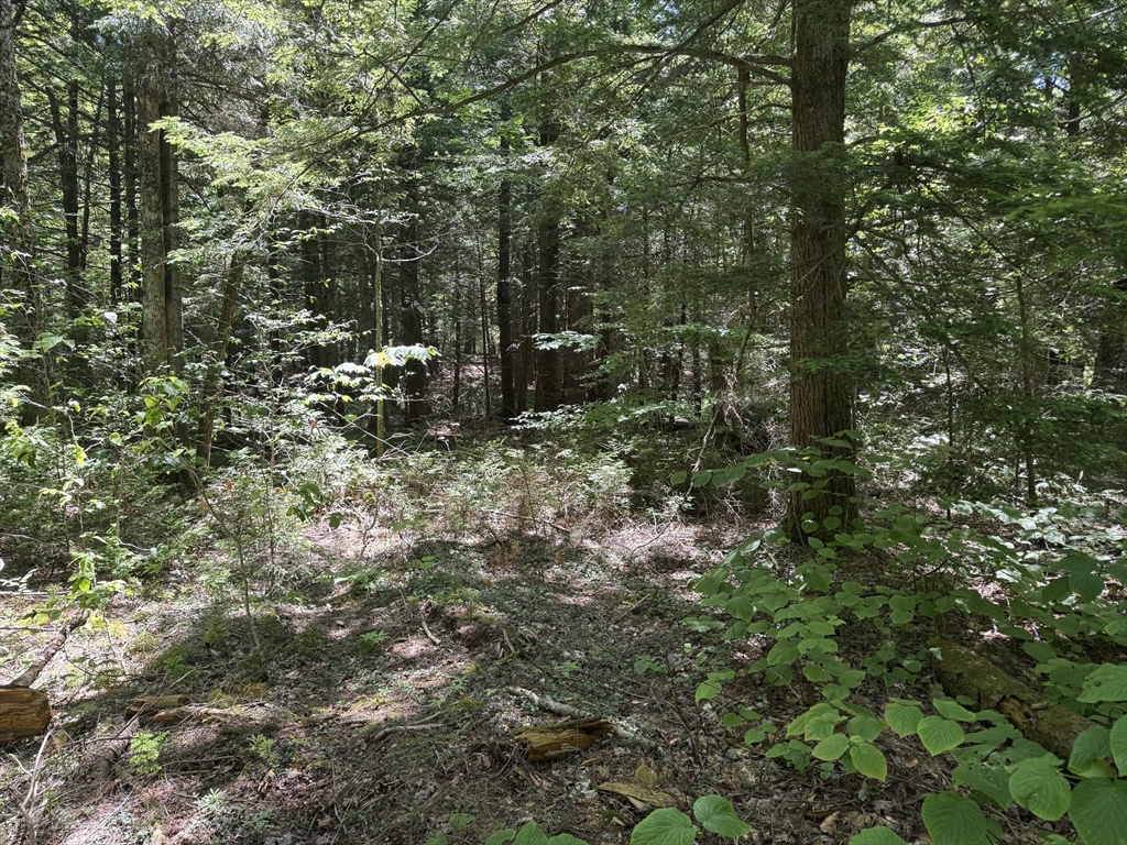 0 Old Stage Rd